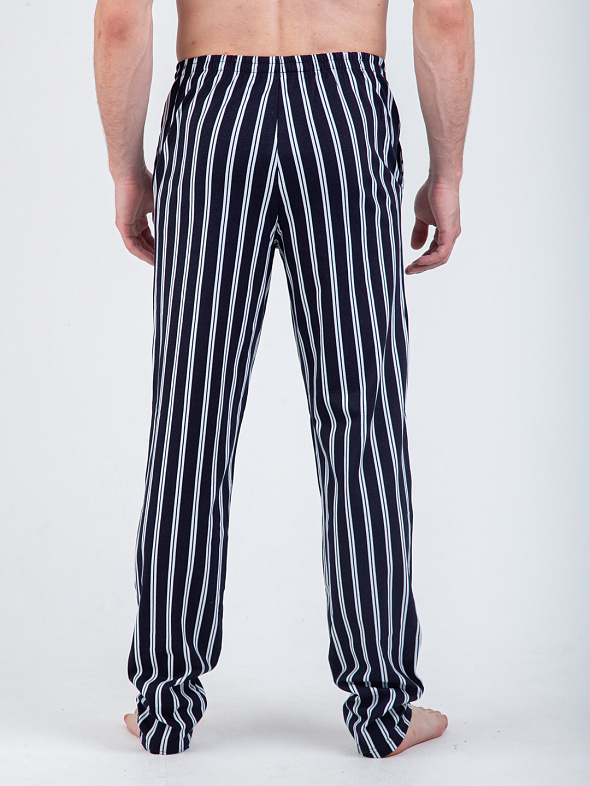 Брюки мужские М-581 Франс 